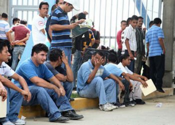 Reportan drástica caída en el desempleo juvenil en RD