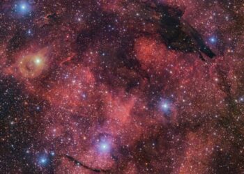 Nueva imagen de ESO captura un 'lobo oscuro' en el cielo