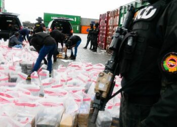Derrumban uno de los cargamentos de drogas más grandes en RD