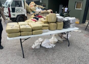 Incautan 264 libras de marihuana ocultas en camión en Pedernales