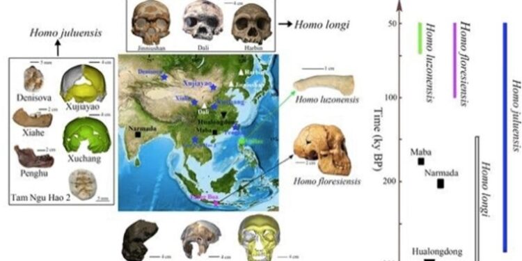 Nueva especie humana sacude la antropología mundial