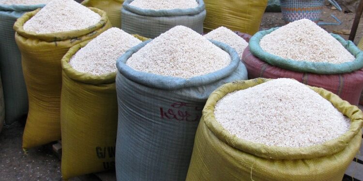 ADOFA asegura abasto arroz pese a crisis climática; piden márgenes justos