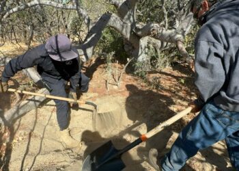 Descubren nueve fosas con 14 cuerpos en Baja California Sur, México