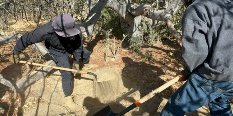 Descubren nueve fosas con 14 cuerpos en Baja California Sur, México