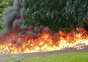 Incineran más de 3 toneladas de droga en RD: Un duro golpe al narcotráfico