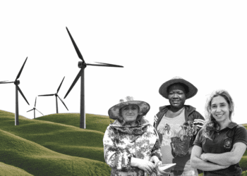 ONU Mujeres insta a más financiamiento climático con enfoque de género en COP29