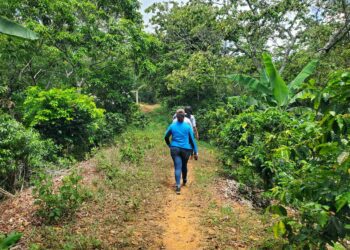 Destacan avances del proyecto CCR: equidad y resiliencia en el Caribe