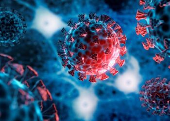 Calculadora evalúa riesgo de COVID-19 grave en usuarios