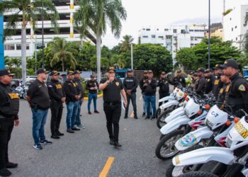 DICRIM captura a 17 individuos en operativos de seguridad