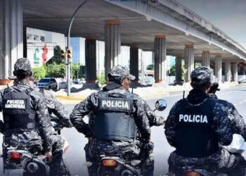 “Diablo rojo” cae abatido al enfrentar a la DICRIM