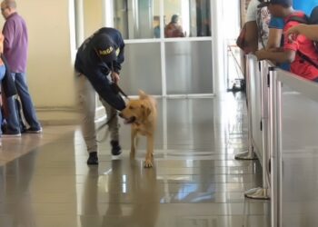 Refuerzan aeropuertos y puertos dominicanos contra el crimen navideño