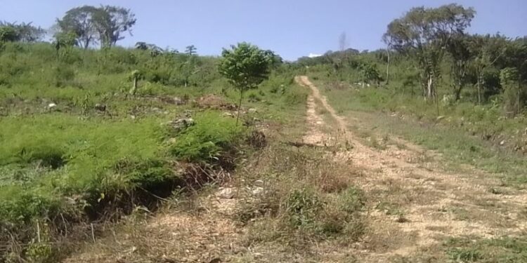 Familia en Barahona enfrenta procesos judiciales interminables defendiendo propiedad