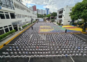 Determinan trazabilidad 9.8 toneladas de cocaína decomisadas