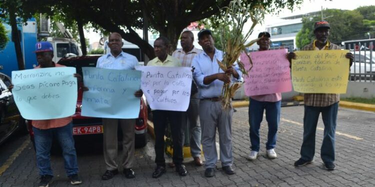 Agricultores exigen 6 millones de dólares por daños de Punta Catalina