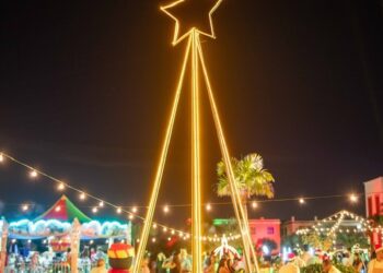 Christmas Boat Parade: Una noche festiva llena de brillo y entusiasmo
