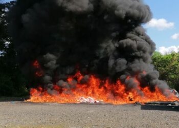 El Inacif destruye 341 kilogramos de drogas incautadas