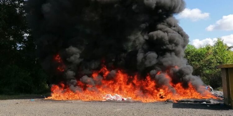 El Inacif destruye 341 kilogramos de drogas incautadas