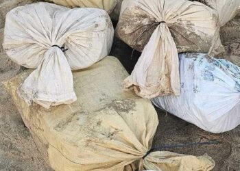 Incautan en PR cocaína valorada en siete millones dólares desde RD