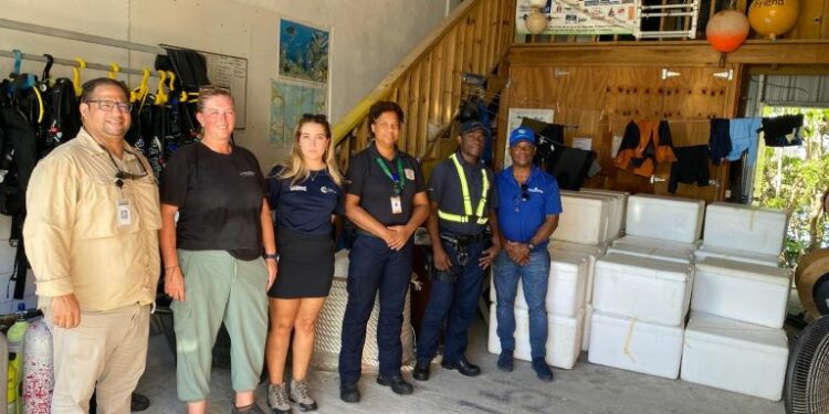 CODOPESCA y Nature Foundation golpean contrabando de anguilas de RD