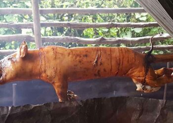 Proconsumidor ataca lechoneras detrás de la calidad del cerdo asado