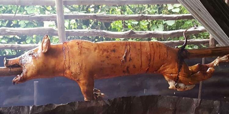 Proconsumidor ataca lechoneras detrás de la calidad del cerdo asado