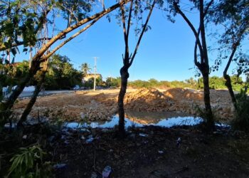Denuncian destrucción de manglares en la Laguna Dominicus, Bayahíbe
