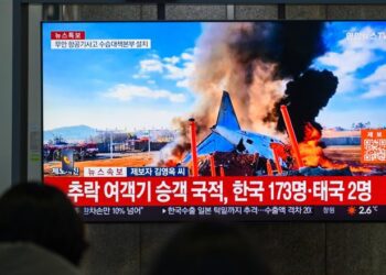 Conozca la causa que habria provocado la tragedia aérea en Corea que dejo 176 muertos