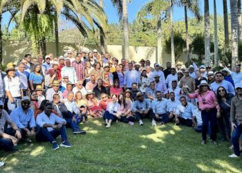 Abel Martínez se perfila como aspirante presidencial del PLD para 2028