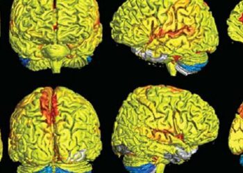 Ponen en marcha un estudio de neurociencia aplicada al deporte