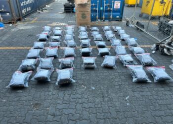 Llegan camuflados desde Nueva York 95 paquetes de marihuana 