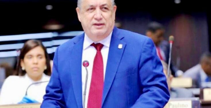 ¡Choque de poderes: diputado desafía al Tribunal Constitucional!