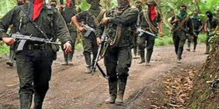 Colombia: Conflictos en Catatumbo dejan 58 muertos y 120 heridos