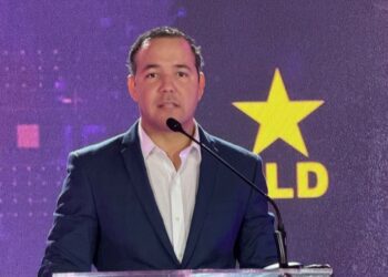 PLD pide establecer normas estrictas a las candidaturas independientes