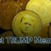 Moneda meme $TRUMP aumenta 300% en 24 horas