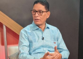 Politólogo advierte de los riesgos de las candidaturas independientes