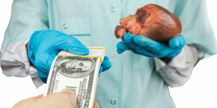 Tráfico de órganos se convierte en nueva pesadilla para Haití