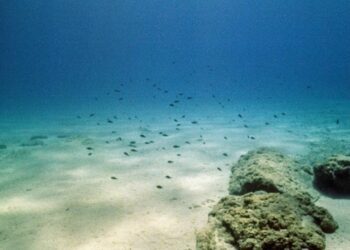 Revelan los secretos del carbono acumulados en los océanos