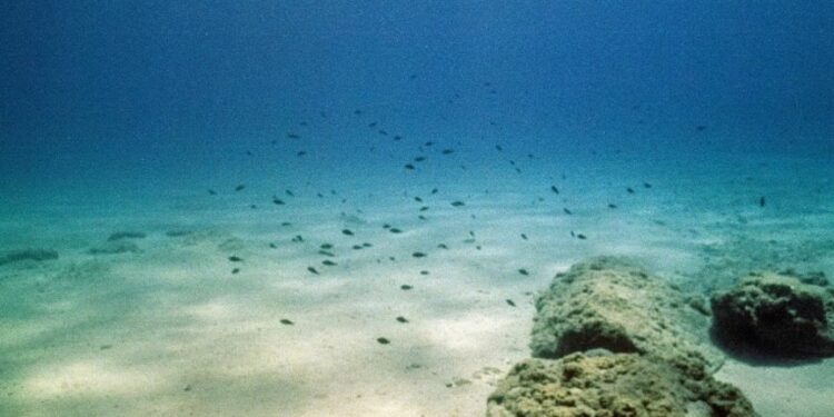 Revelan los secretos del carbono acumulados en los océanos