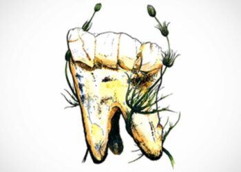 Nuestros ancestros eran vegetarianos desde hace 3,5 millones de años