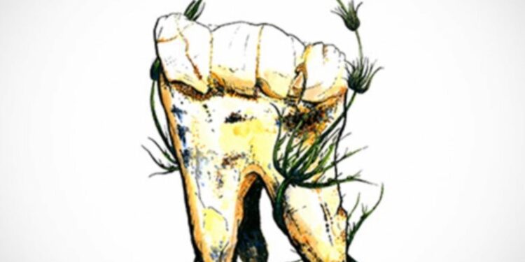 Nuestros ancestros eran vegetarianos desde hace 3,5 millones de años