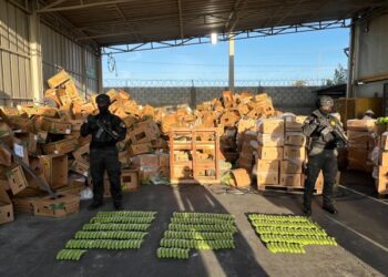 Incautada cocaína oculta en 303 guineos de cerámica por Manzanillo