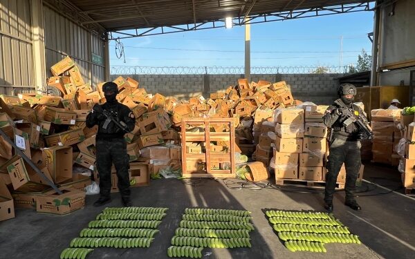 Incautada cocaína oculta en 303 guineos de cerámica por Manzanillo