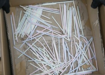 DNCD intercepta 110 sorbetes de cocaína destinados a Países Bajos