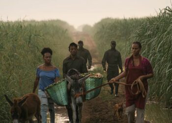 Una crítica a "Sugar Island": Un grito visual contra el olvido y la exclusión