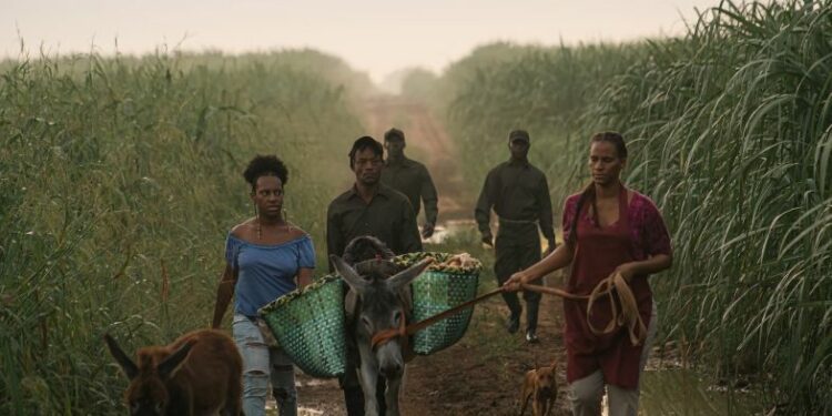 Una crítica a "Sugar Island": Un grito visual contra el olvido y la exclusión