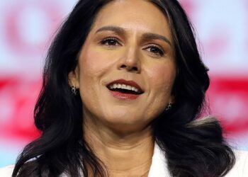 Tulsi Gabbard avanza hacia el liderazgo en inteligencia nacional de EE.UU.