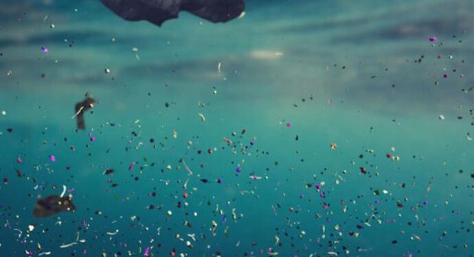 Relacionan microplásticos en el océano con discapacidades de residentes costeros