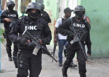 DNCD incauta más de 132,000 gramos de narcóticos en últimas horas