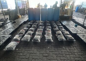 DNCD confisca 73 paquetes de marihuana provenientes de Estados Unidos