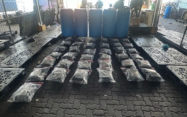 DNCD confisca 73 paquetes de marihuana provenientes de Estados Unidos